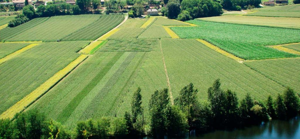 JP-Ganem-Paysage-traversé-